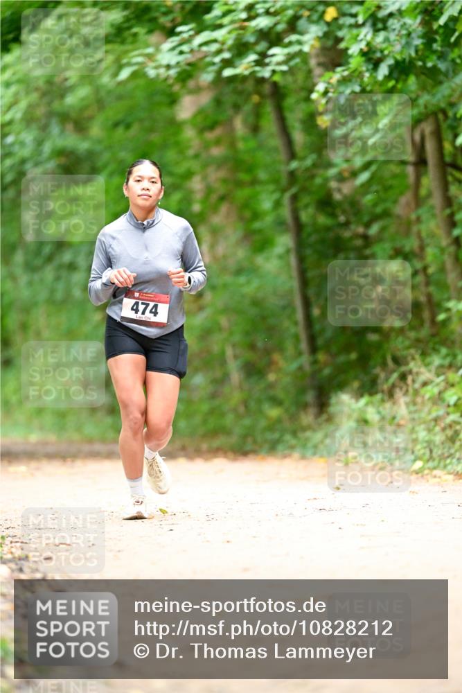 11.10.2026 - Bramfelder Halbmarathon 2026 Dr. Thomas Lammeyer http://msf.ph/oto/10828212 11.10.2026 11:06:09 Laufen 474 meine-sportfotos.de