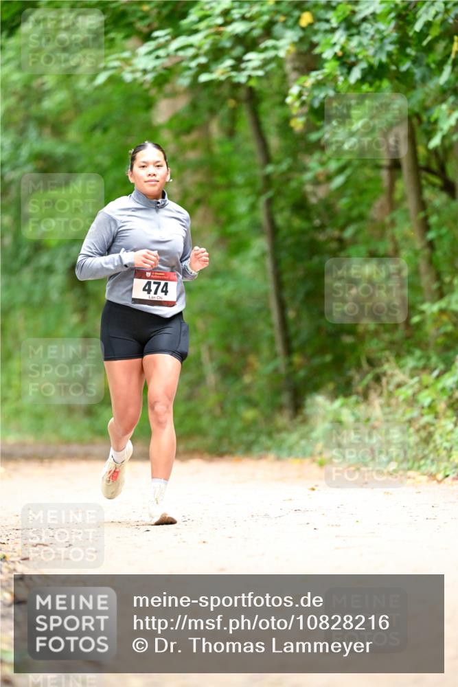 11.10.2026 - Bramfelder Halbmarathon 2026 Dr. Thomas Lammeyer http://msf.ph/oto/10828216 11.10.2026 11:06:09 Laufen 474 meine-sportfotos.de