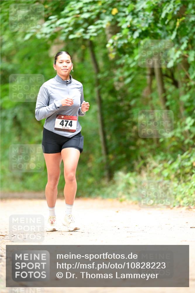 11.10.2026 - Bramfelder Halbmarathon 2026 Dr. Thomas Lammeyer http://msf.ph/oto/10828223 11.10.2026 11:06:10 Laufen 11, 474 meine-sportfotos.de