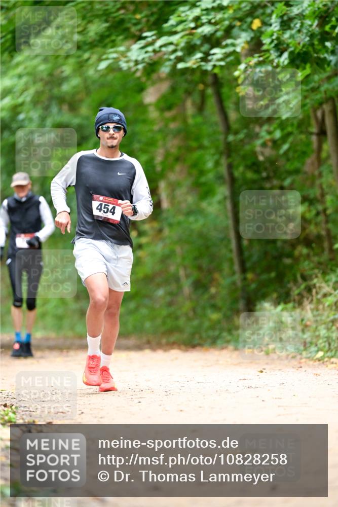 11.10.2026 - Bramfelder Halbmarathon 2026 Dr. Thomas Lammeyer http://msf.ph/oto/10828258 11.10.2026 11:06:14 Laufen 454 meine-sportfotos.de