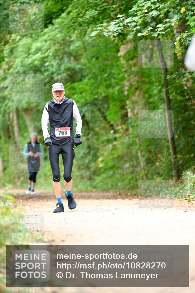 11.10.2026 - Bramfelder Halbmarathon 2026 Dr. Thomas Lammeyer http://msf.ph/oto/10828270 11.10.2026 11:06:16 Laufen 768 meine-sportfotos.de