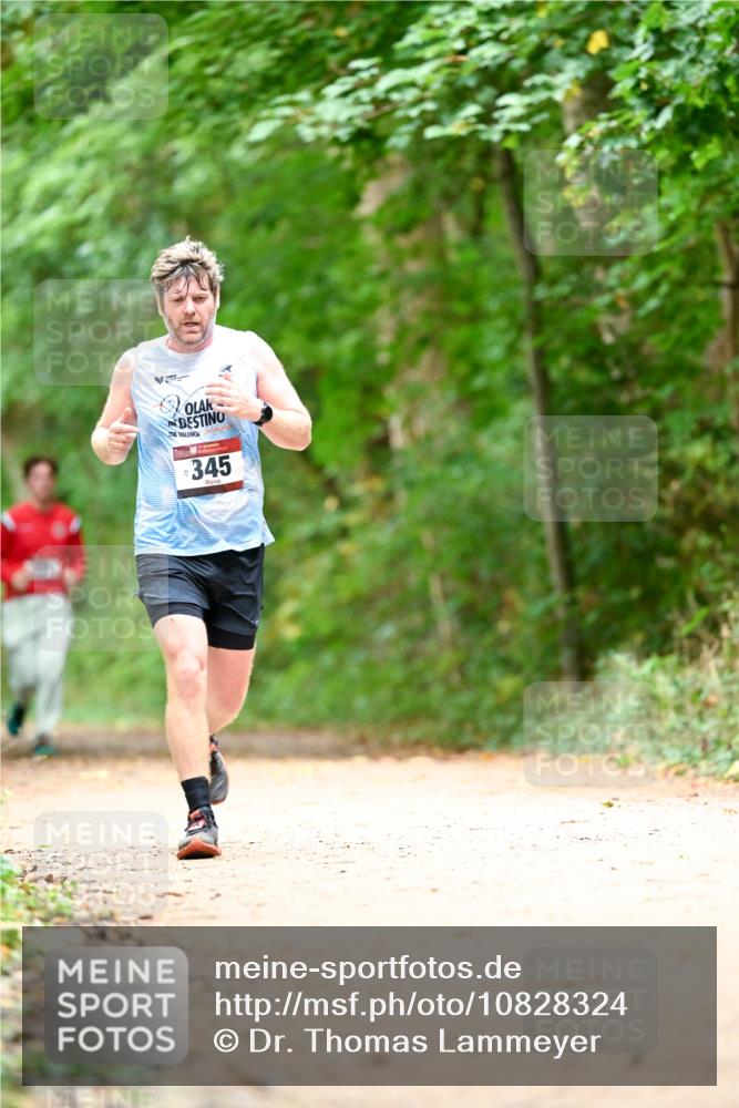 11.10.2026 - Bramfelder Halbmarathon 2026 Dr. Thomas Lammeyer http://msf.ph/oto/10828324 11.10.2026 11:06:33 Laufen 21, 345 meine-sportfotos.de