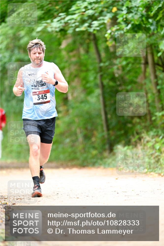 11.10.2026 - Bramfelder Halbmarathon 2026 Dr. Thomas Lammeyer http://msf.ph/oto/10828333 11.10.2026 11:06:34 Laufen 345 meine-sportfotos.de