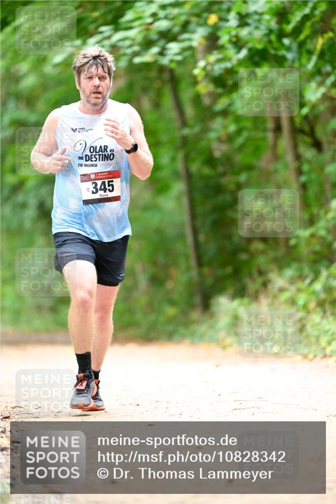11.10.2026 - Bramfelder Halbmarathon 2026 Dr. Thomas Lammeyer http://msf.ph/oto/10828342 11.10.2026 11:06:35 Laufen 21, 345 meine-sportfotos.de