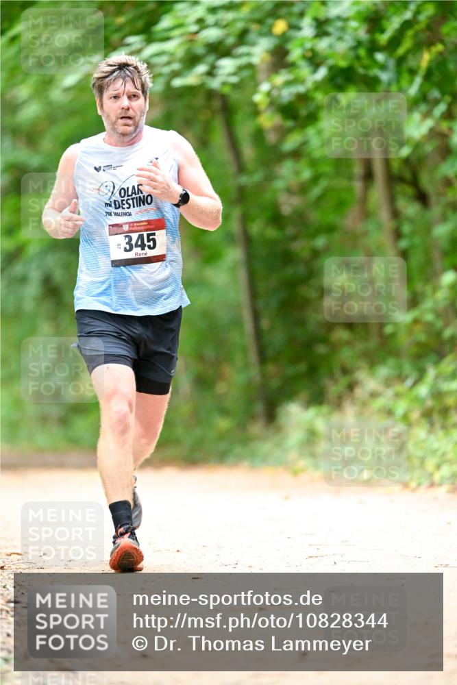 11.10.2026 - Bramfelder Halbmarathon 2026 Dr. Thomas Lammeyer http://msf.ph/oto/10828344 11.10.2026 11:06:35 Laufen 21, 40, 35, 345 meine-sportfotos.de