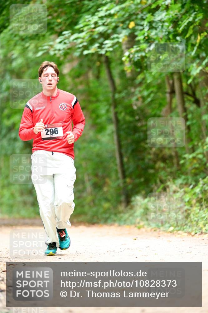 11.10.2026 - Bramfelder Halbmarathon 2026 Dr. Thomas Lammeyer http://msf.ph/oto/10828373 11.10.2026 11:06:40 Laufen 296 meine-sportfotos.de