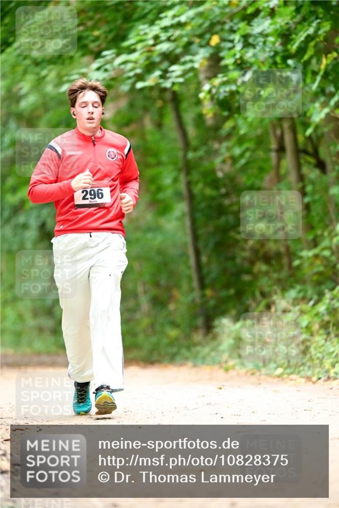 11.10.2026 - Bramfelder Halbmarathon 2026 Dr. Thomas Lammeyer http://msf.ph/oto/10828375 11.10.2026 11:06:40 Laufen 296 meine-sportfotos.de