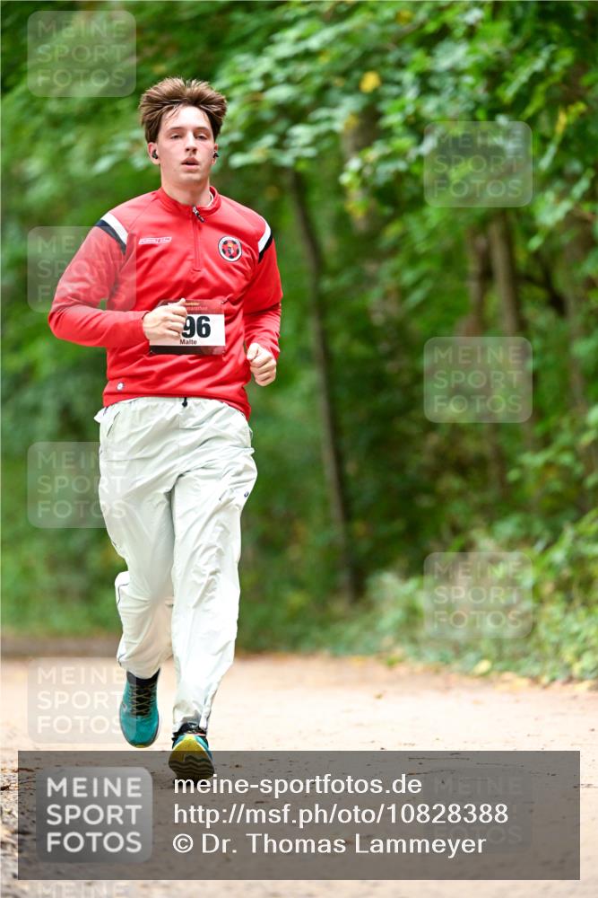 11.10.2026 - Bramfelder Halbmarathon 2026 Dr. Thomas Lammeyer http://msf.ph/oto/10828388 11.10.2026 11:06:41 Laufen 96 meine-sportfotos.de