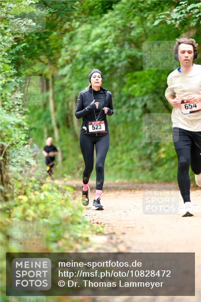 11.10.2026 - Bramfelder Halbmarathon 2026 Dr. Thomas Lammeyer http://msf.ph/oto/10828472 11.10.2026 11:07:13 Laufen 654, 523 meine-sportfotos.de