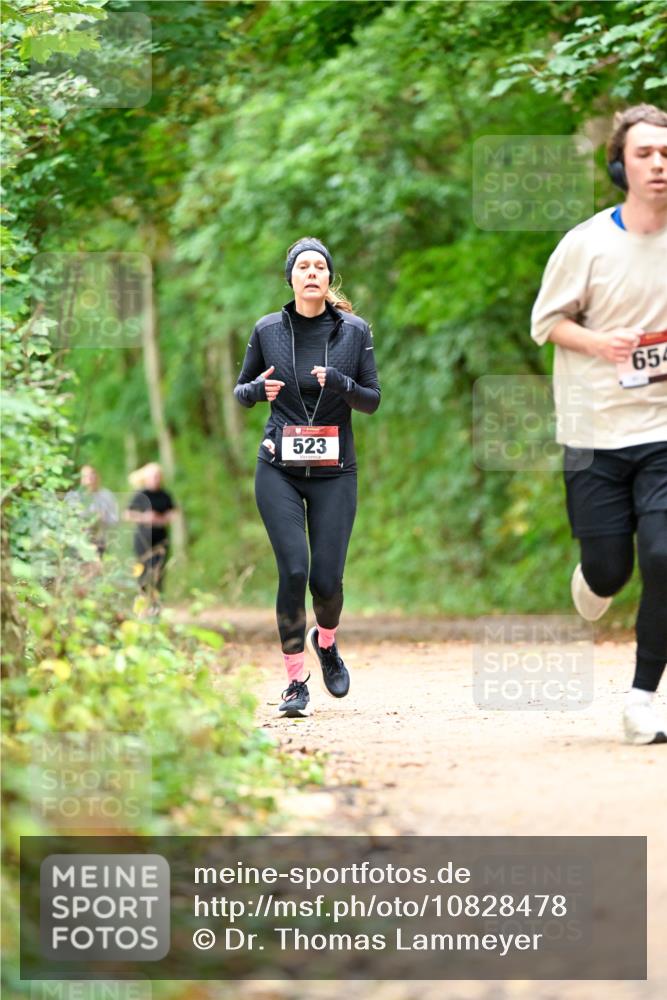 11.10.2026 - Bramfelder Halbmarathon 2026 Dr. Thomas Lammeyer http://msf.ph/oto/10828478 11.10.2026 11:07:13 Laufen 523, 654 meine-sportfotos.de