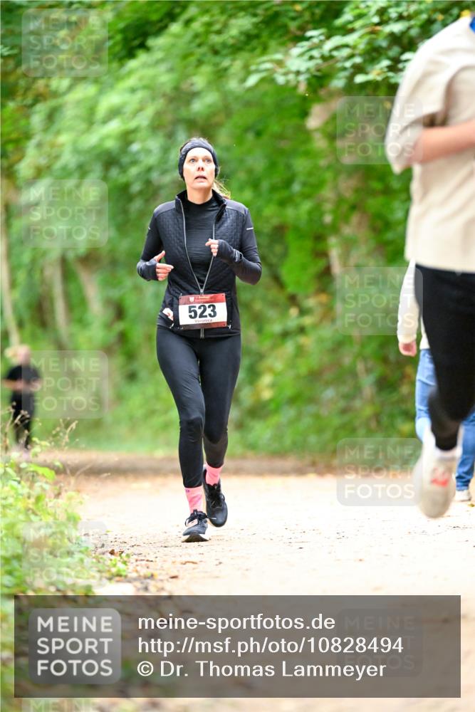11.10.2026 - Bramfelder Halbmarathon 2026 Dr. Thomas Lammeyer http://msf.ph/oto/10828494 11.10.2026 11:07:15 Laufen 523 meine-sportfotos.de