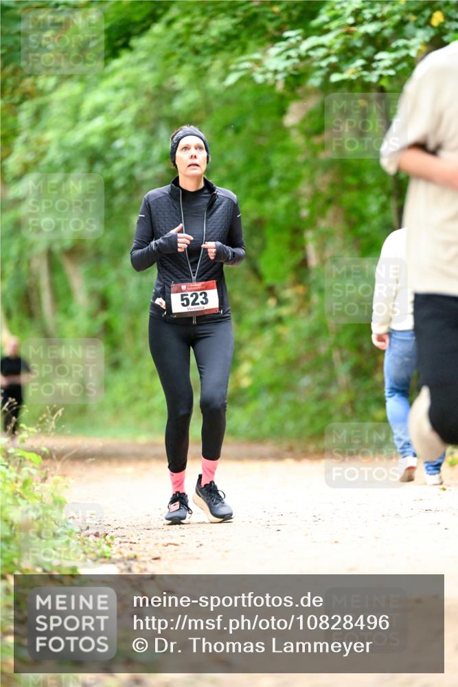 11.10.2026 - Bramfelder Halbmarathon 2026 Dr. Thomas Lammeyer http://msf.ph/oto/10828496 11.10.2026 11:07:15 Laufen 523 meine-sportfotos.de