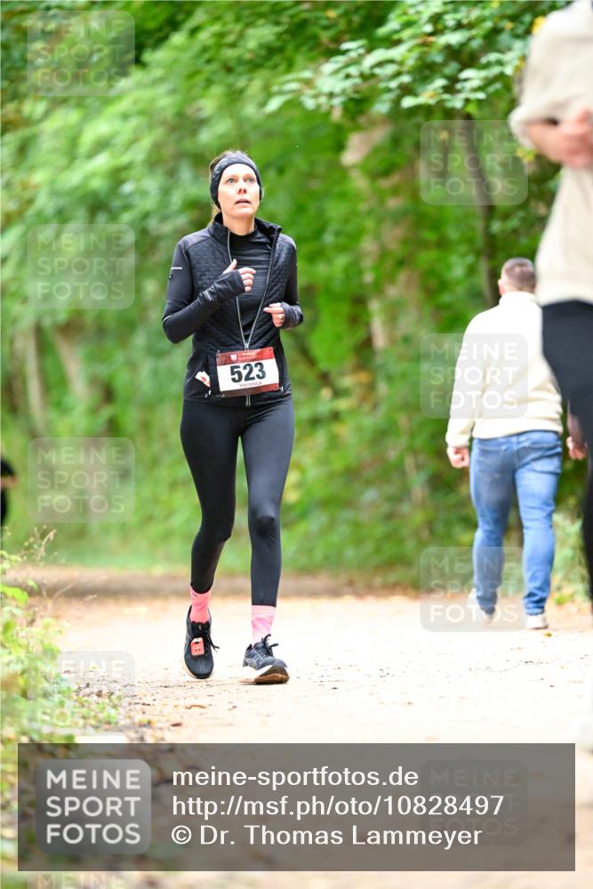 11.10.2026 - Bramfelder Halbmarathon 2026 Dr. Thomas Lammeyer http://msf.ph/oto/10828497 11.10.2026 11:07:15 Laufen 523 meine-sportfotos.de