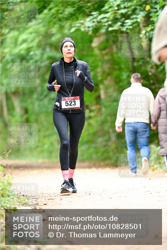11.10.2026 - Bramfelder Halbmarathon 2026 Dr. Thomas Lammeyer http://msf.ph/oto/10828501 11.10.2026 11:07:15 Laufen 523 meine-sportfotos.de