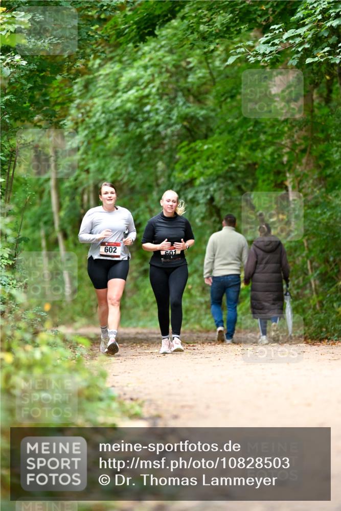 11.10.2026 - Bramfelder Halbmarathon 2026 Dr. Thomas Lammeyer http://msf.ph/oto/10828503 11.10.2026 11:07:25 Laufen 602, 601 meine-sportfotos.de