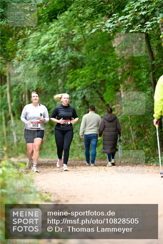 11.10.2026 - Bramfelder Halbmarathon 2026 Dr. Thomas Lammeyer http://msf.ph/oto/10828505 11.10.2026 11:07:25 Laufen 01, 602 meine-sportfotos.de
