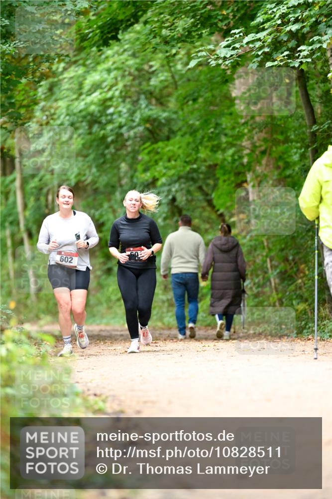 11.10.2026 - Bramfelder Halbmarathon 2026 Dr. Thomas Lammeyer http://msf.ph/oto/10828511 11.10.2026 11:07:26 Laufen 602 meine-sportfotos.de