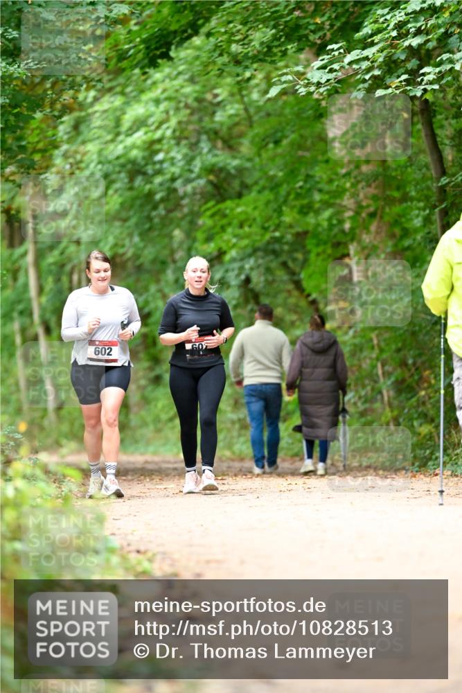 11.10.2026 - Bramfelder Halbmarathon 2026 Dr. Thomas Lammeyer http://msf.ph/oto/10828513 11.10.2026 11:07:26 Laufen 602, 60 meine-sportfotos.de
