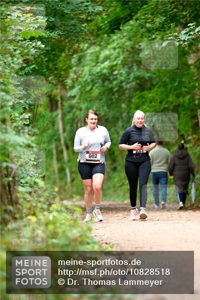 11.10.2026 - Bramfelder Halbmarathon 2026 Dr. Thomas Lammeyer http://msf.ph/oto/10828518 11.10.2026 11:07:26 Laufen 602 meine-sportfotos.de