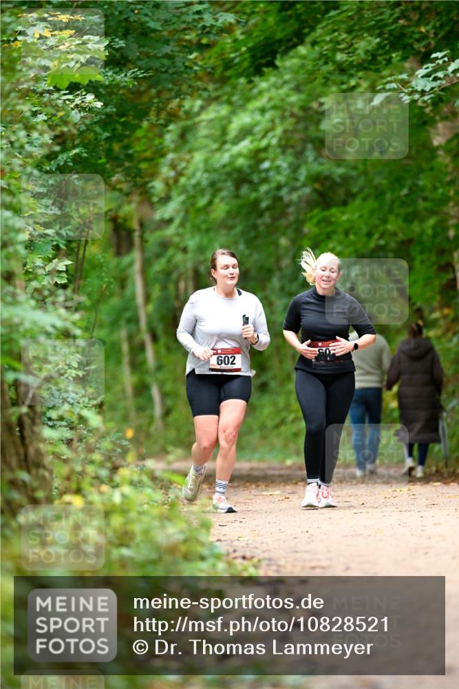 11.10.2026 - Bramfelder Halbmarathon 2026 Dr. Thomas Lammeyer http://msf.ph/oto/10828521 11.10.2026 11:07:27 Laufen 602 meine-sportfotos.de