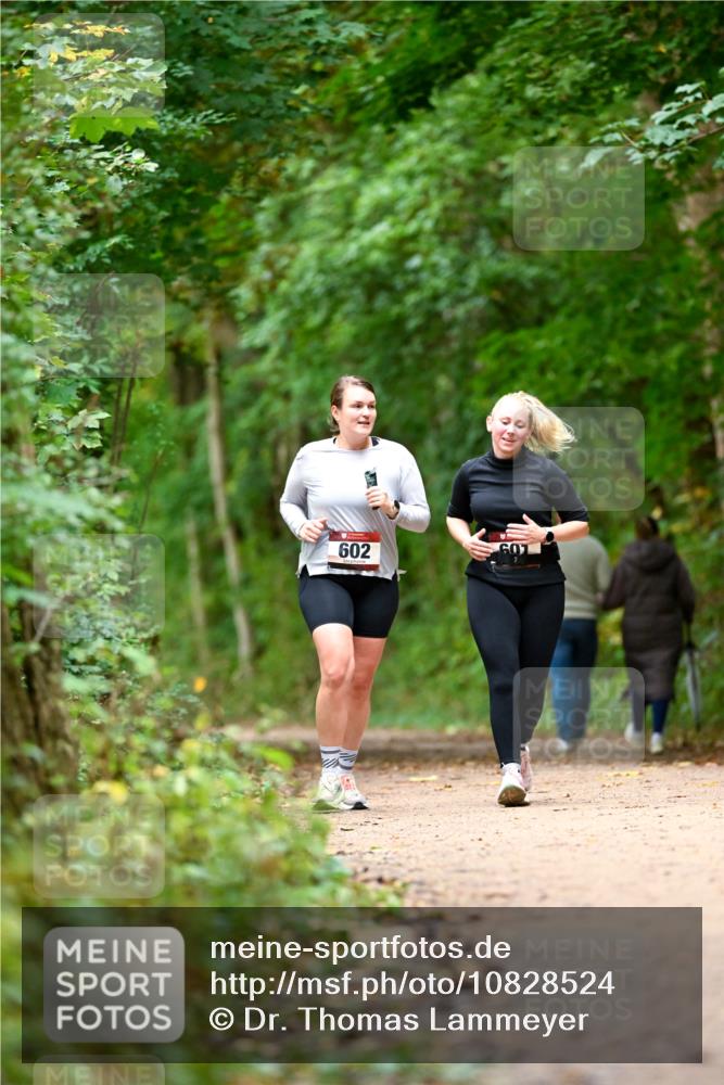 11.10.2026 - Bramfelder Halbmarathon 2026 Dr. Thomas Lammeyer http://msf.ph/oto/10828524 11.10.2026 11:07:27 Laufen 602 meine-sportfotos.de