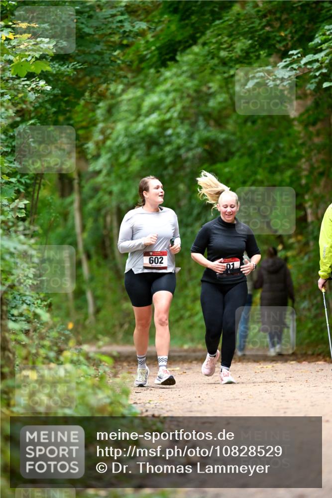11.10.2026 - Bramfelder Halbmarathon 2026 Dr. Thomas Lammeyer http://msf.ph/oto/10828529 11.10.2026 11:07:27 Laufen 602 meine-sportfotos.de