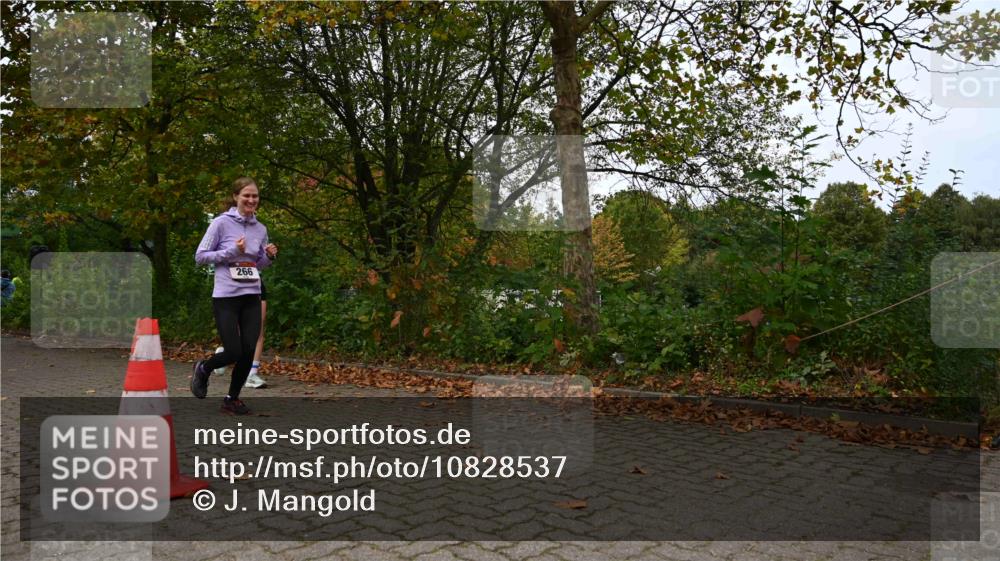 11.10.2026 - Bramfelder Halbmarathon 2026 J. Mangold http://msf.ph/oto/10828537 11.10.2026 10:55:37 Laufen 266, 309 meine-sportfotos.de