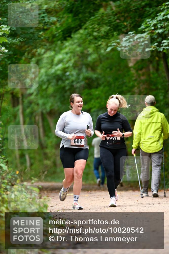 11.10.2026 - Bramfelder Halbmarathon 2026 Dr. Thomas Lammeyer http://msf.ph/oto/10828542 11.10.2026 11:07:28 Laufen 60, 602 meine-sportfotos.de