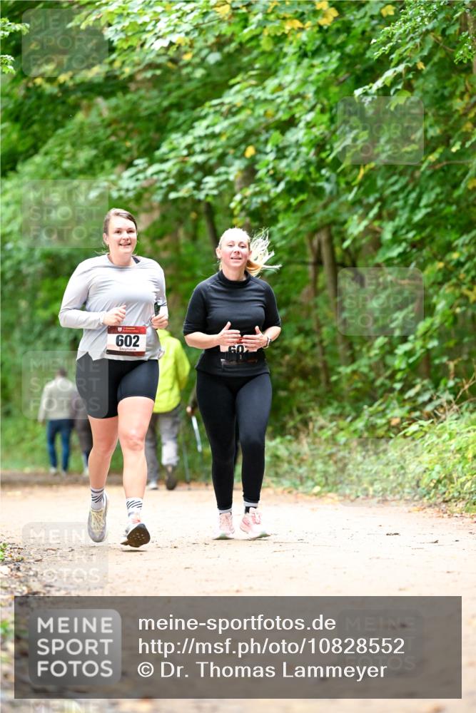 11.10.2026 - Bramfelder Halbmarathon 2026 Dr. Thomas Lammeyer http://msf.ph/oto/10828552 11.10.2026 11:07:30 Laufen 602 meine-sportfotos.de