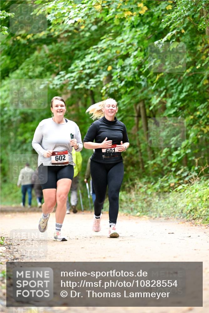 11.10.2026 - Bramfelder Halbmarathon 2026 Dr. Thomas Lammeyer http://msf.ph/oto/10828554 11.10.2026 11:07:30 Laufen 00, 601, 602 meine-sportfotos.de