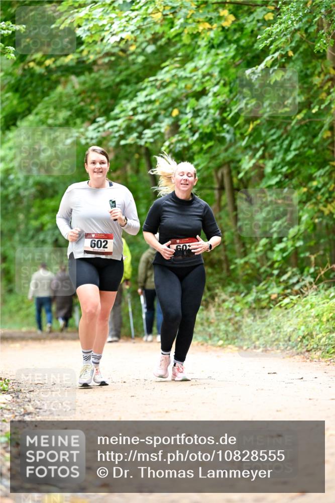 11.10.2026 - Bramfelder Halbmarathon 2026 Dr. Thomas Lammeyer http://msf.ph/oto/10828555 11.10.2026 11:07:31 Laufen 602, 00 meine-sportfotos.de