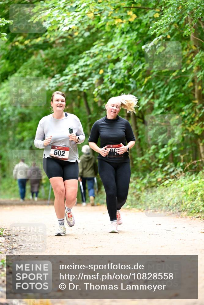 11.10.2026 - Bramfelder Halbmarathon 2026 Dr. Thomas Lammeyer http://msf.ph/oto/10828558 11.10.2026 11:07:31 Laufen 602 meine-sportfotos.de