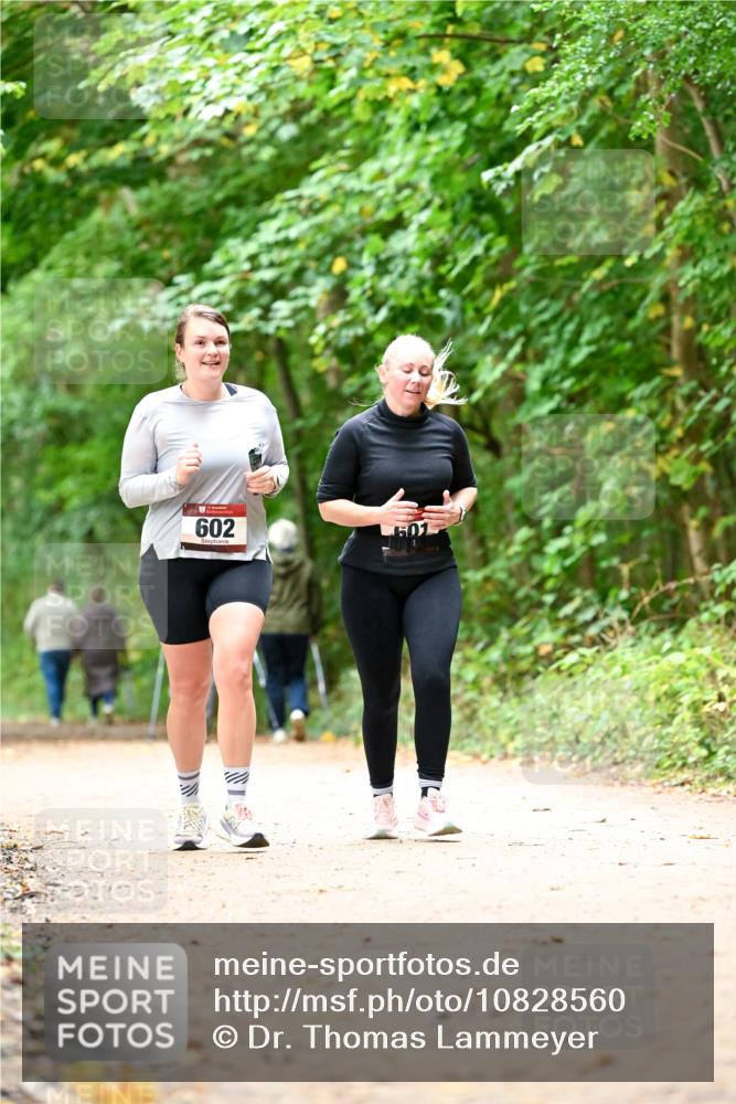 11.10.2026 - Bramfelder Halbmarathon 2026 Dr. Thomas Lammeyer http://msf.ph/oto/10828560 11.10.2026 11:07:31 Laufen 602, 501 meine-sportfotos.de