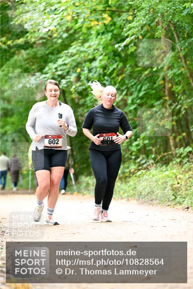 11.10.2026 - Bramfelder Halbmarathon 2026 Dr. Thomas Lammeyer http://msf.ph/oto/10828564 11.10.2026 11:07:31 Laufen 602, 601 meine-sportfotos.de
