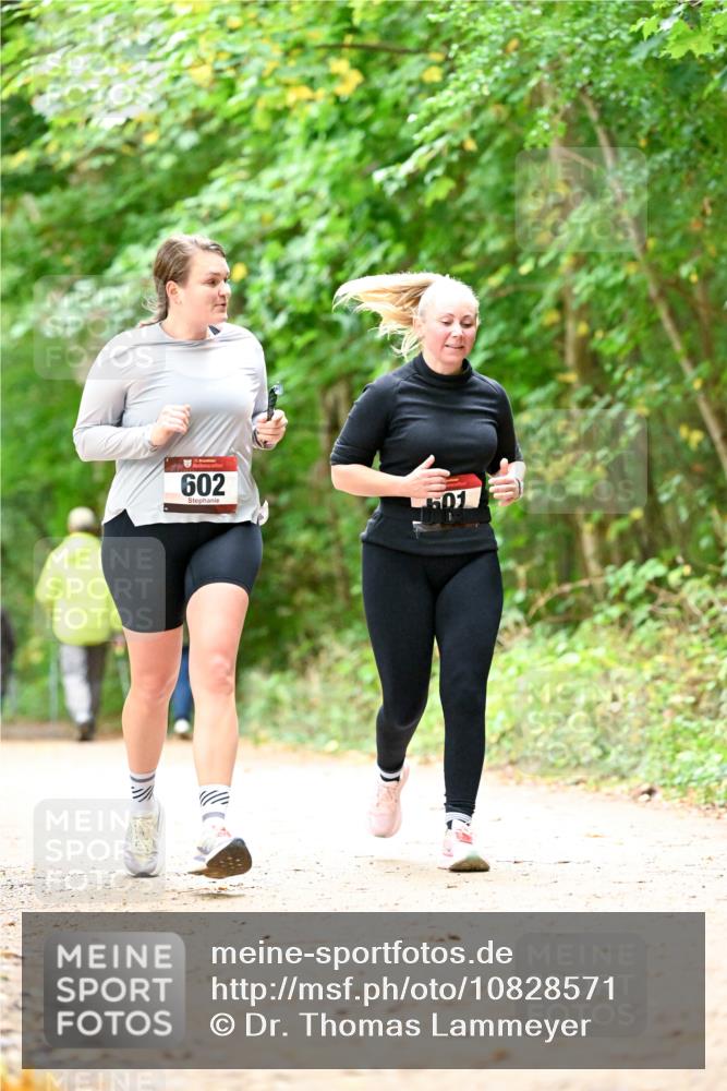 11.10.2026 - Bramfelder Halbmarathon 2026 Dr. Thomas Lammeyer http://msf.ph/oto/10828571 11.10.2026 11:07:32 Laufen 602, 501 meine-sportfotos.de