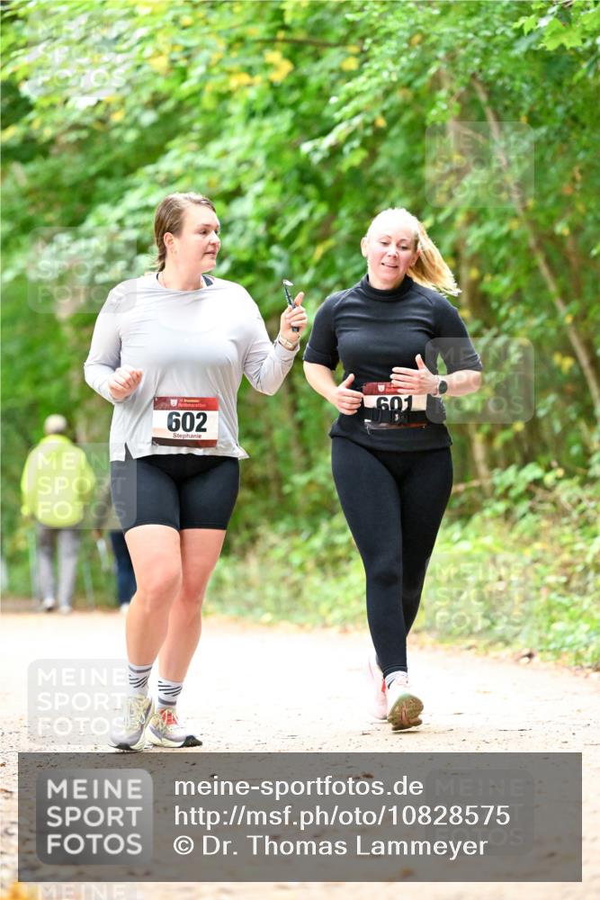 11.10.2026 - Bramfelder Halbmarathon 2026 Dr. Thomas Lammeyer http://msf.ph/oto/10828575 11.10.2026 11:07:32 Laufen 35, 602, 601 meine-sportfotos.de
