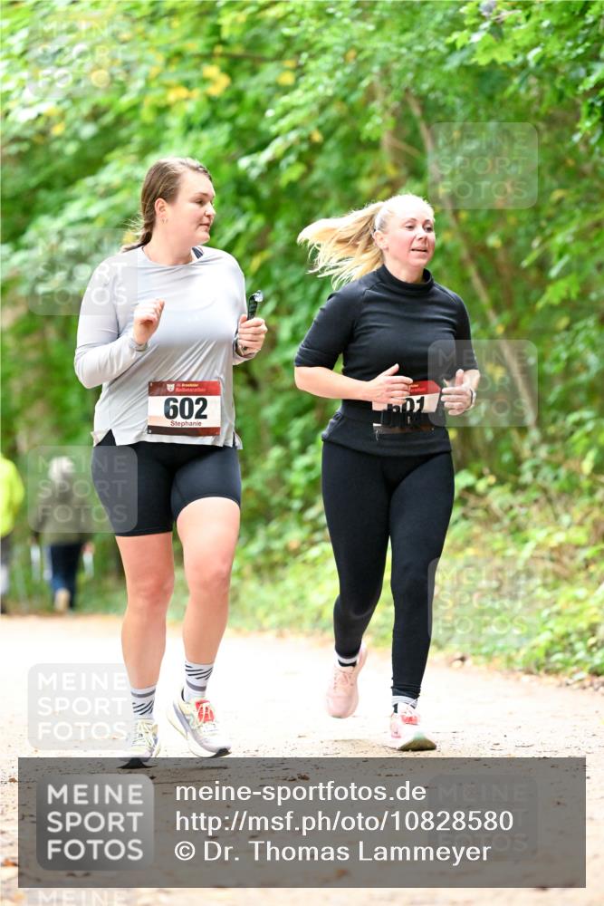 11.10.2026 - Bramfelder Halbmarathon 2026 Dr. Thomas Lammeyer http://msf.ph/oto/10828580 11.10.2026 11:07:32 Laufen 35, 602 meine-sportfotos.de