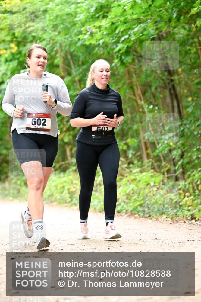 11.10.2026 - Bramfelder Halbmarathon 2026 Dr. Thomas Lammeyer http://msf.ph/oto/10828588 11.10.2026 11:07:33 Laufen 602, 602 meine-sportfotos.de