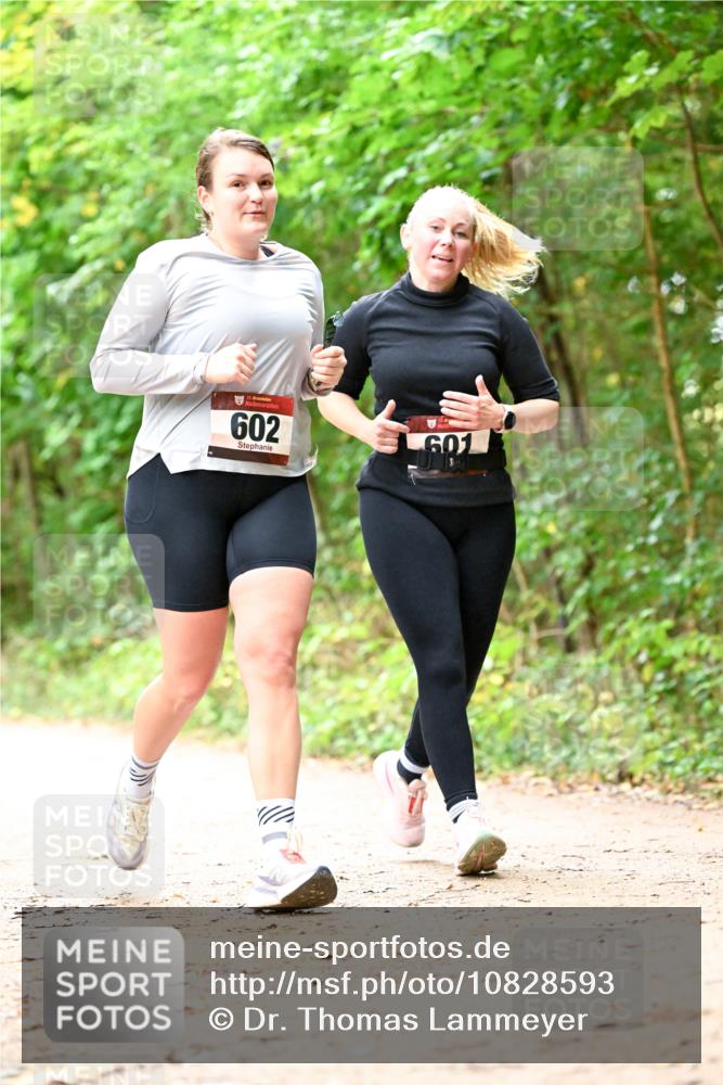 11.10.2026 - Bramfelder Halbmarathon 2026 Dr. Thomas Lammeyer http://msf.ph/oto/10828593 11.10.2026 11:07:33 Laufen 35, 602, 601 meine-sportfotos.de