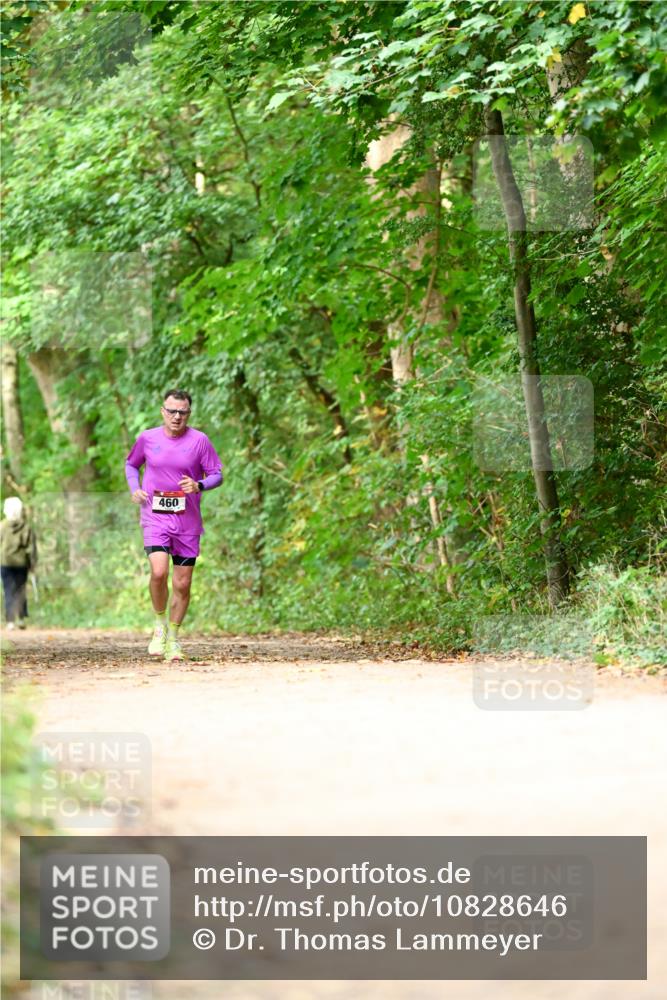 11.10.2026 - Bramfelder Halbmarathon 2026 Dr. Thomas Lammeyer http://msf.ph/oto/10828646 11.10.2026 11:07:55 Laufen 460 meine-sportfotos.de