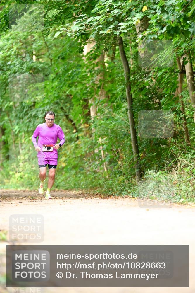 11.10.2026 - Bramfelder Halbmarathon 2026 Dr. Thomas Lammeyer http://msf.ph/oto/10828663 11.10.2026 11:07:56 Laufen 460 meine-sportfotos.de