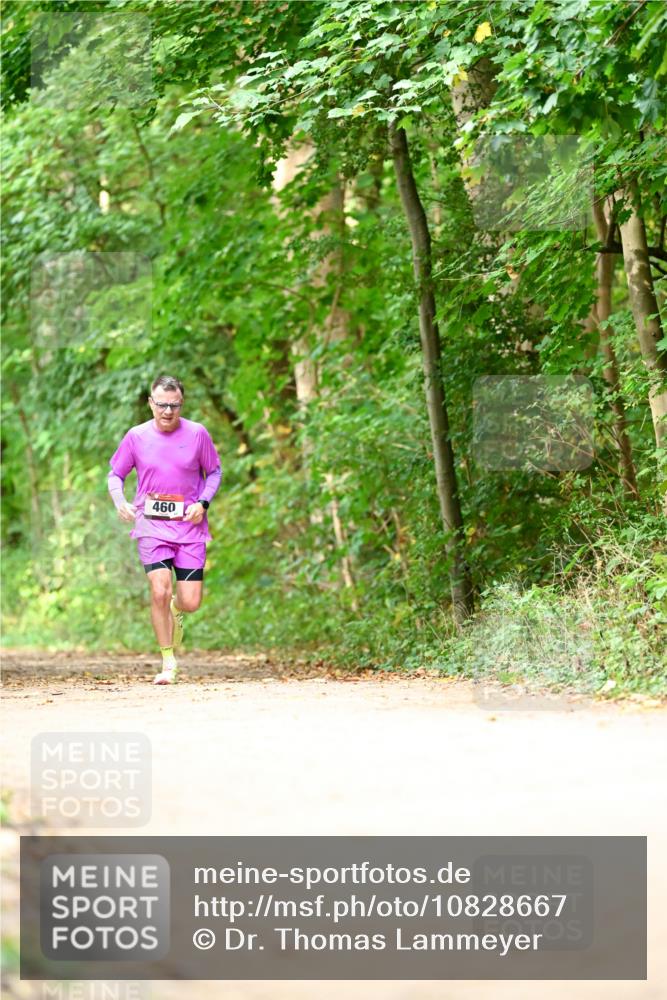11.10.2026 - Bramfelder Halbmarathon 2026 Dr. Thomas Lammeyer http://msf.ph/oto/10828667 11.10.2026 11:07:56 Laufen 460 meine-sportfotos.de