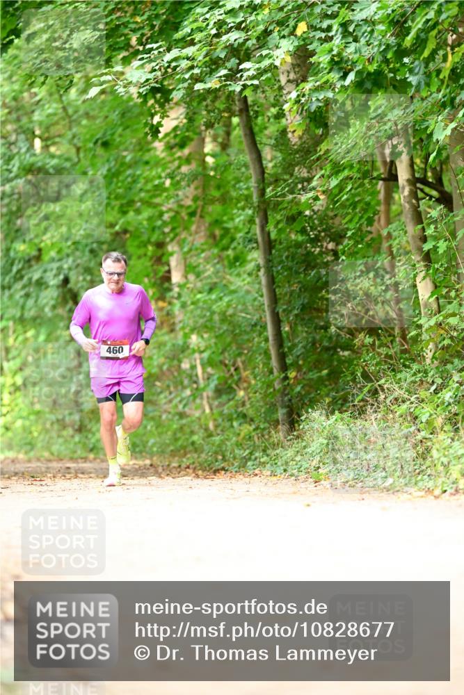 11.10.2026 - Bramfelder Halbmarathon 2026 Dr. Thomas Lammeyer http://msf.ph/oto/10828677 11.10.2026 11:07:57 Laufen 460 meine-sportfotos.de
