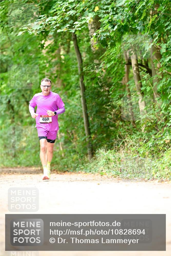 11.10.2026 - Bramfelder Halbmarathon 2026 Dr. Thomas Lammeyer http://msf.ph/oto/10828694 11.10.2026 11:07:58 Laufen 460 meine-sportfotos.de