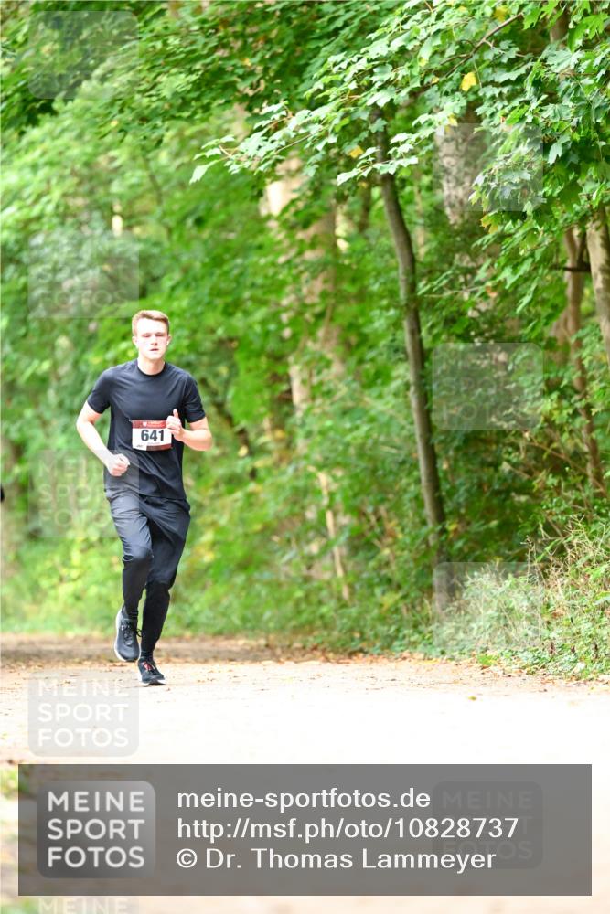 11.10.2026 - Bramfelder Halbmarathon 2026 Dr. Thomas Lammeyer http://msf.ph/oto/10828737 11.10.2026 11:08:04 Laufen 641 meine-sportfotos.de