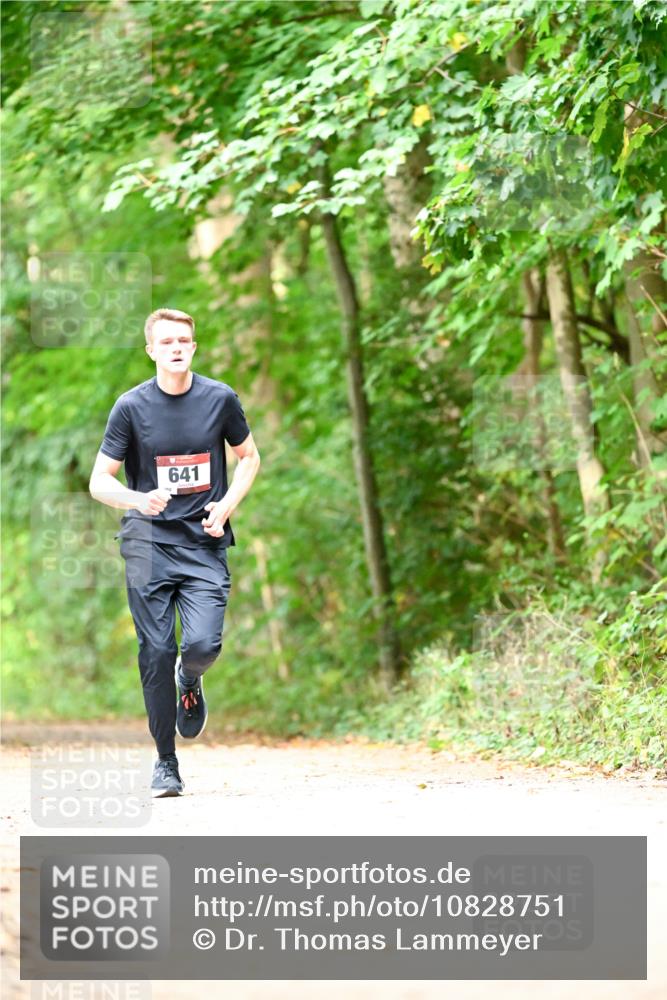 11.10.2026 - Bramfelder Halbmarathon 2026 Dr. Thomas Lammeyer http://msf.ph/oto/10828751 11.10.2026 11:08:05 Laufen 641 meine-sportfotos.de