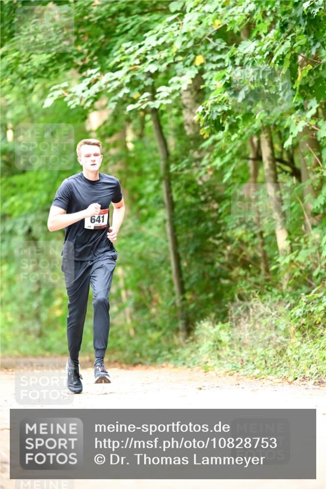 11.10.2026 - Bramfelder Halbmarathon 2026 Dr. Thomas Lammeyer http://msf.ph/oto/10828753 11.10.2026 11:08:05 Laufen 641 meine-sportfotos.de