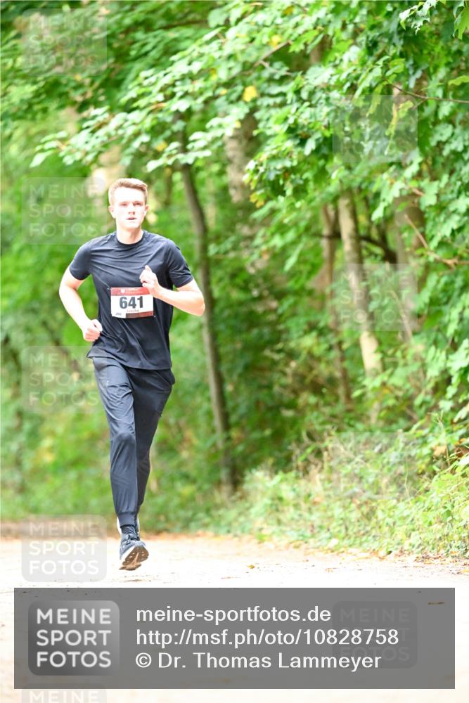 11.10.2026 - Bramfelder Halbmarathon 2026 Dr. Thomas Lammeyer http://msf.ph/oto/10828758 11.10.2026 11:08:05 Laufen 260, 641 meine-sportfotos.de