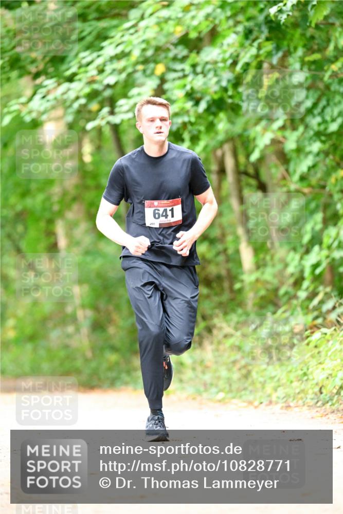 11.10.2026 - Bramfelder Halbmarathon 2026 Dr. Thomas Lammeyer http://msf.ph/oto/10828771 11.10.2026 11:08:06 Laufen 260, 641 meine-sportfotos.de