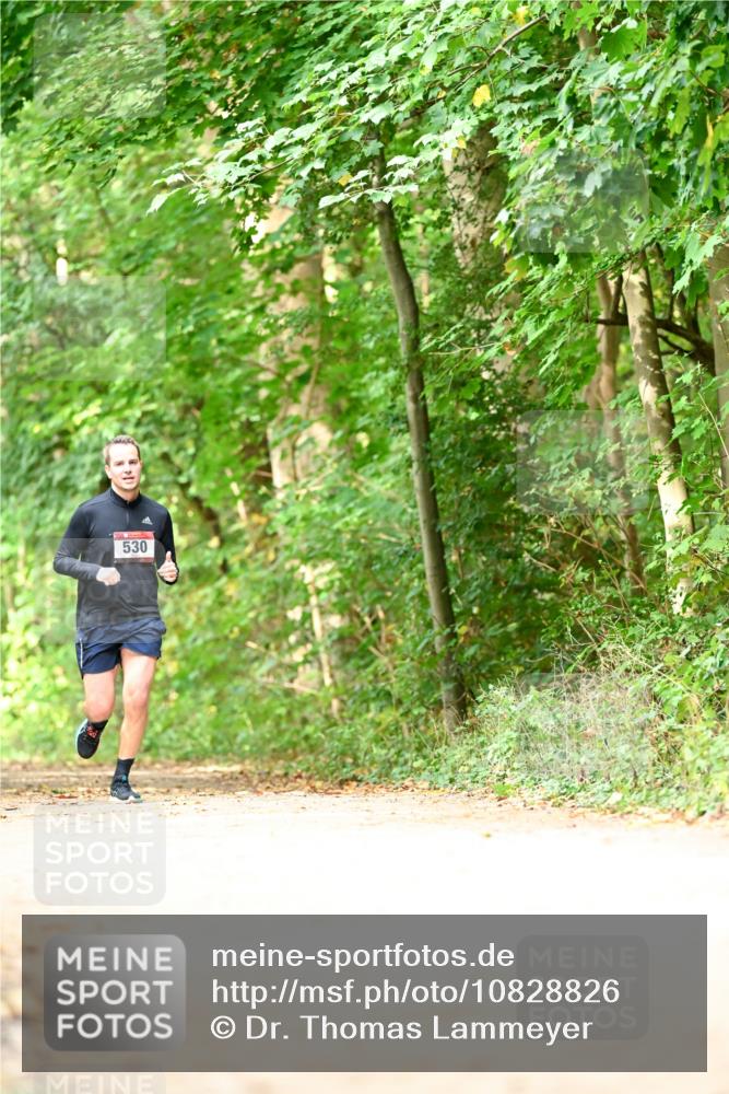 11.10.2026 - Bramfelder Halbmarathon 2026 Dr. Thomas Lammeyer http://msf.ph/oto/10828826 11.10.2026 11:08:25 Laufen 530 meine-sportfotos.de